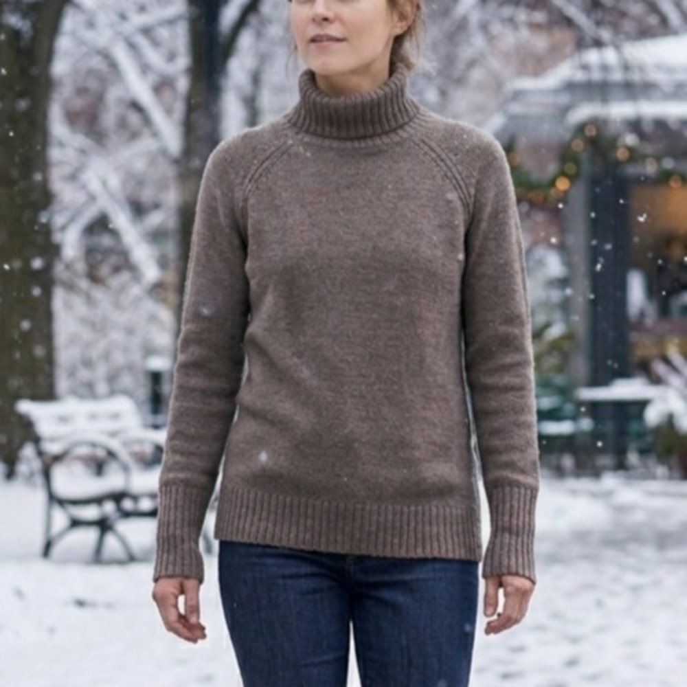 Icebreaker Women Waypoint Roll Neck Wool Sweater Small Gray Cozy Winter Outdoor